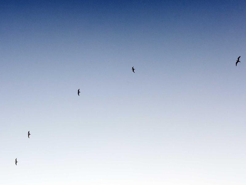 家长控制解除<br>关闭管控退出账号教学